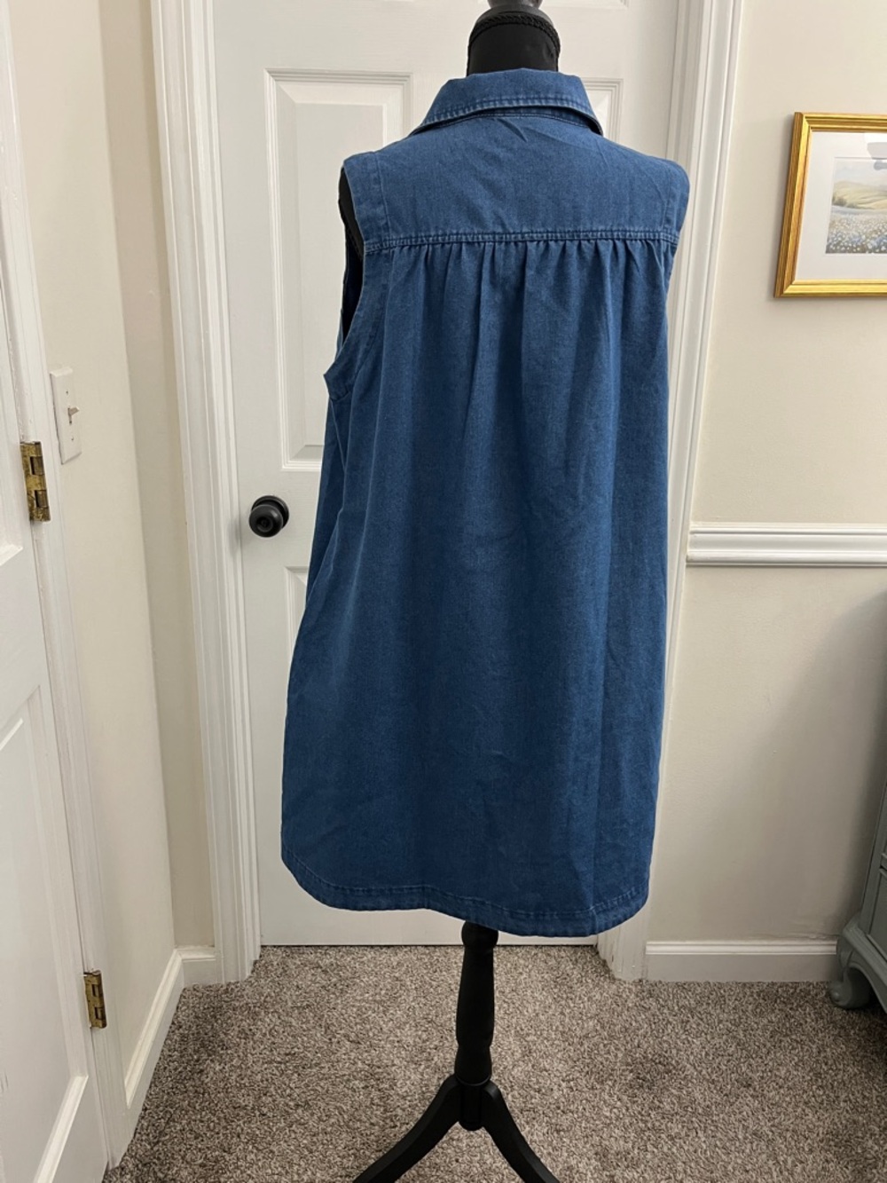 Amazon Denim Sleeveless Mini Dress in Blue with Front Tie Details - Picture 4 of 4